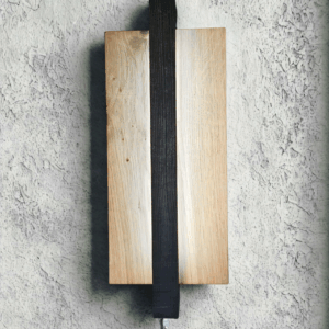 Vertical Wall Sconce LED Light, Wooden Minimalist SMART RGB Wall Lamp