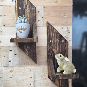 Parallelogram Shelf Build - FREE Plans